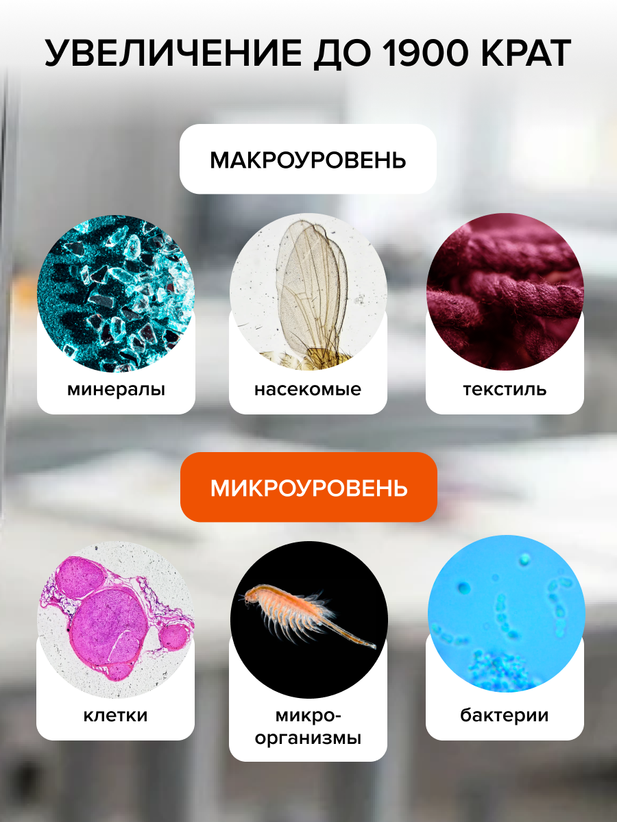 Фотомикроскоп Levenhuk Kelvin Touch KM5 изображение