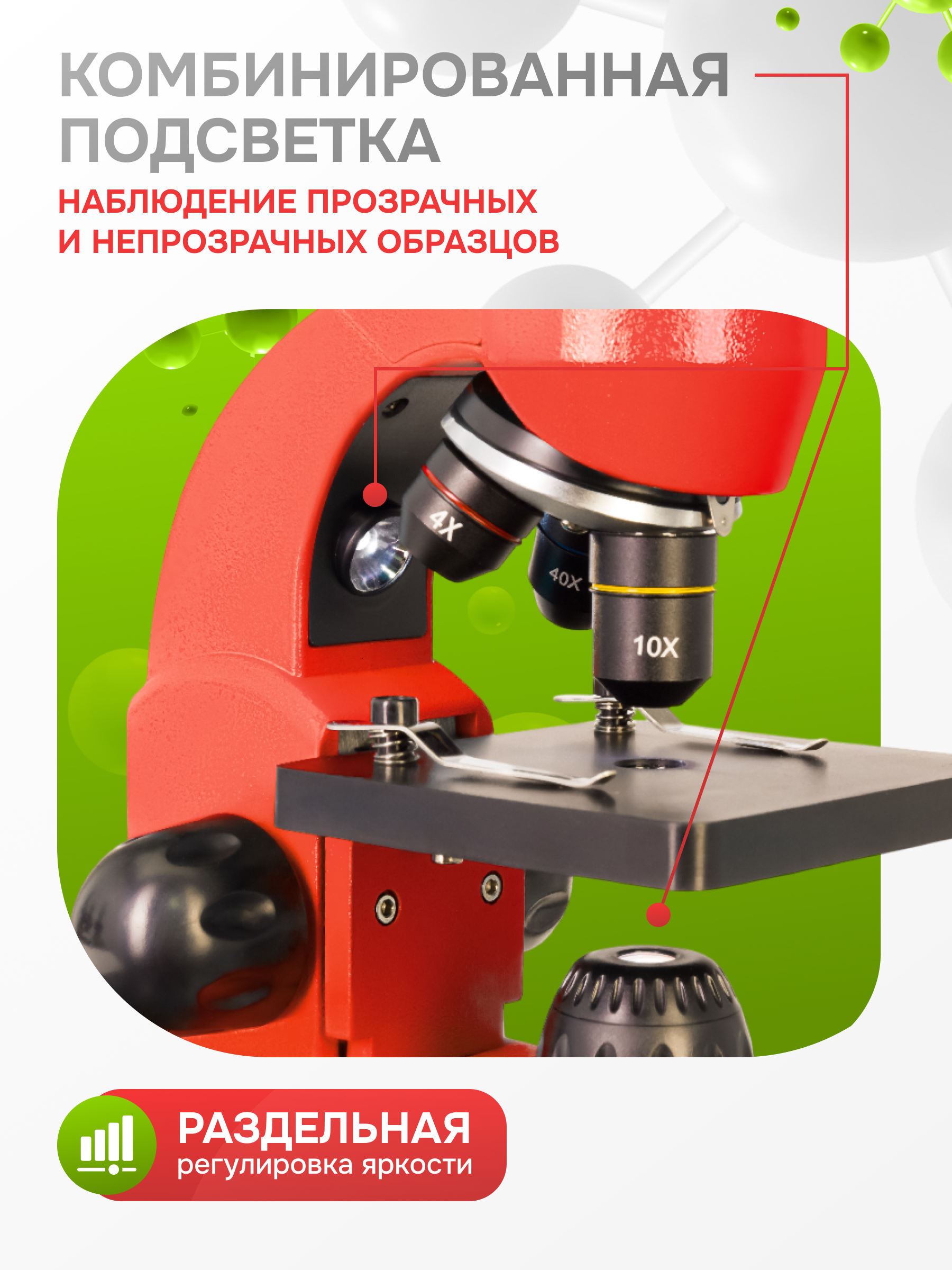 Микроскоп Levenhuk Rainbow 50L PLUS фото