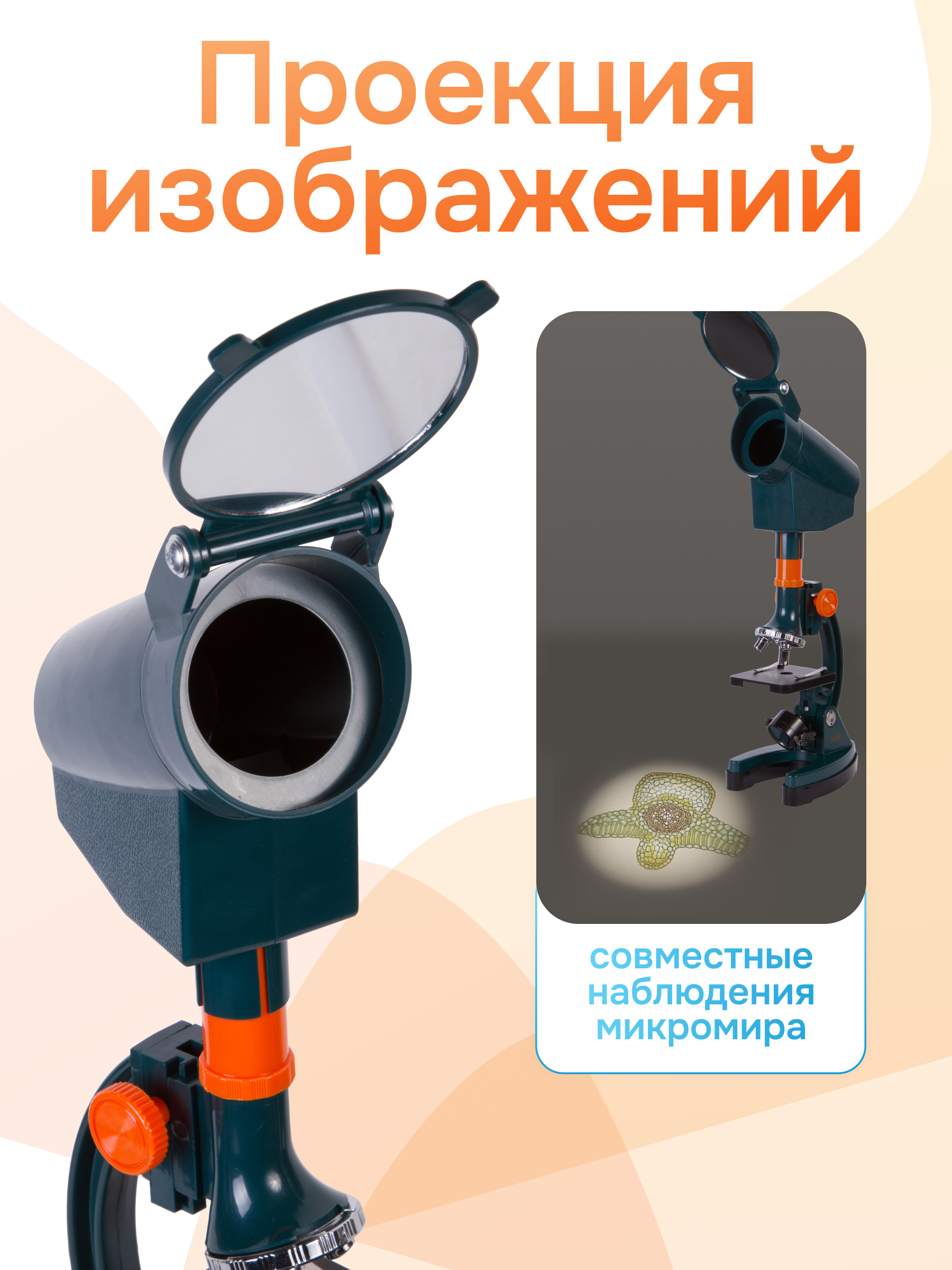 Микроскоп Levenhuk LabZZ M3 с адаптером для фотоаппарата фотография