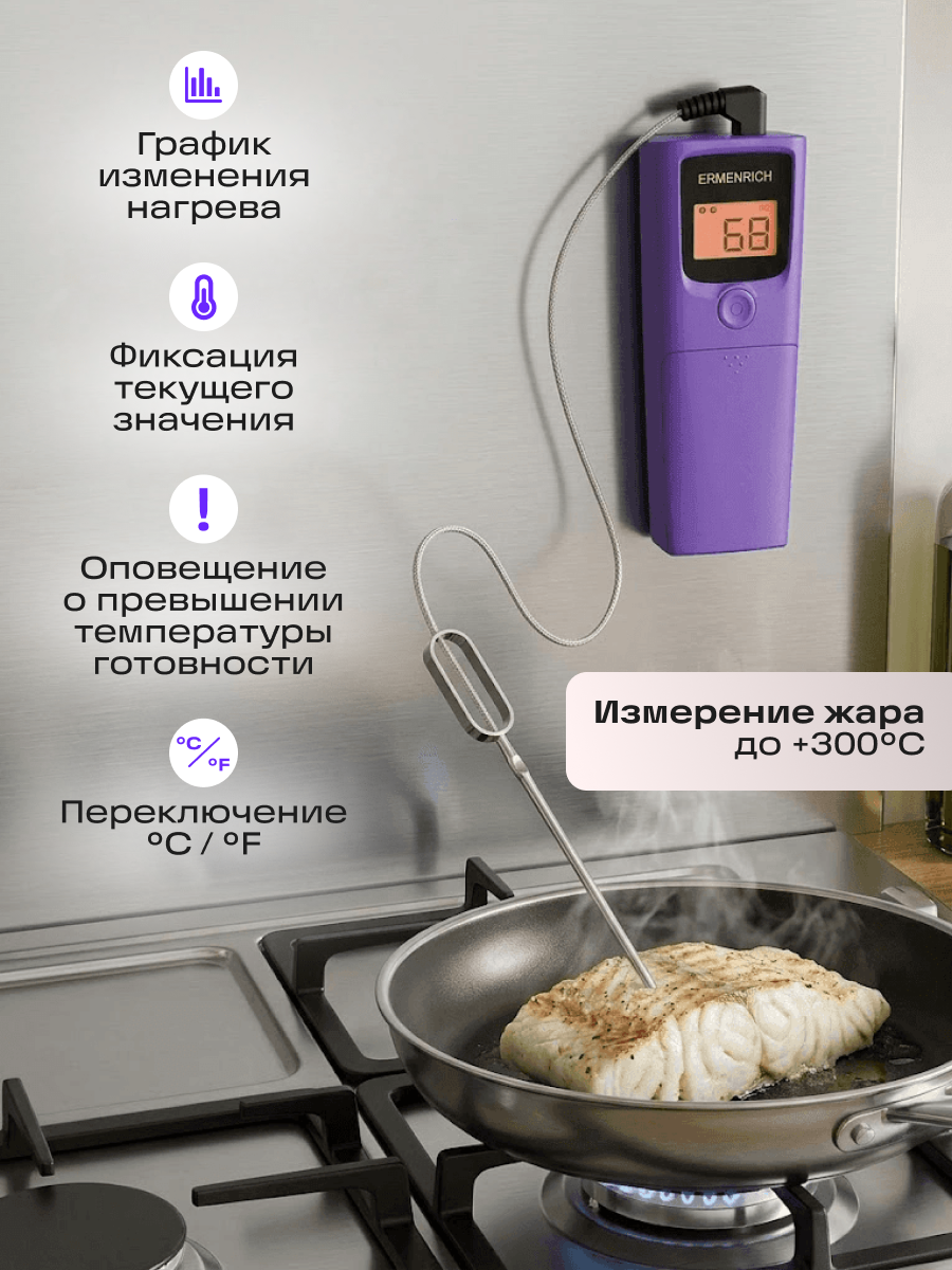 Термометр для мяса Ermenrich BBQ GT20 фотография