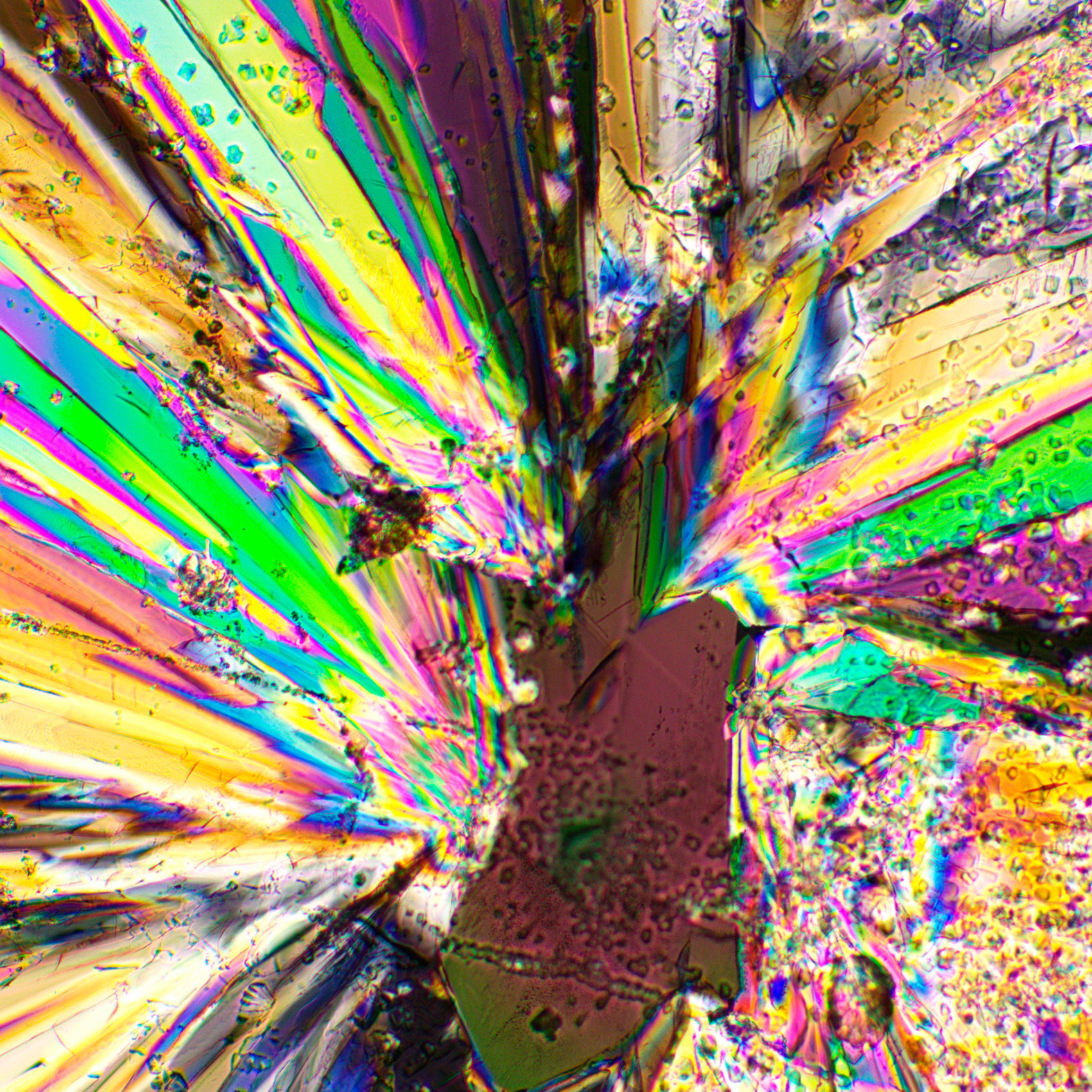 Устройство простой поляризации MAGUS SPD1 фото