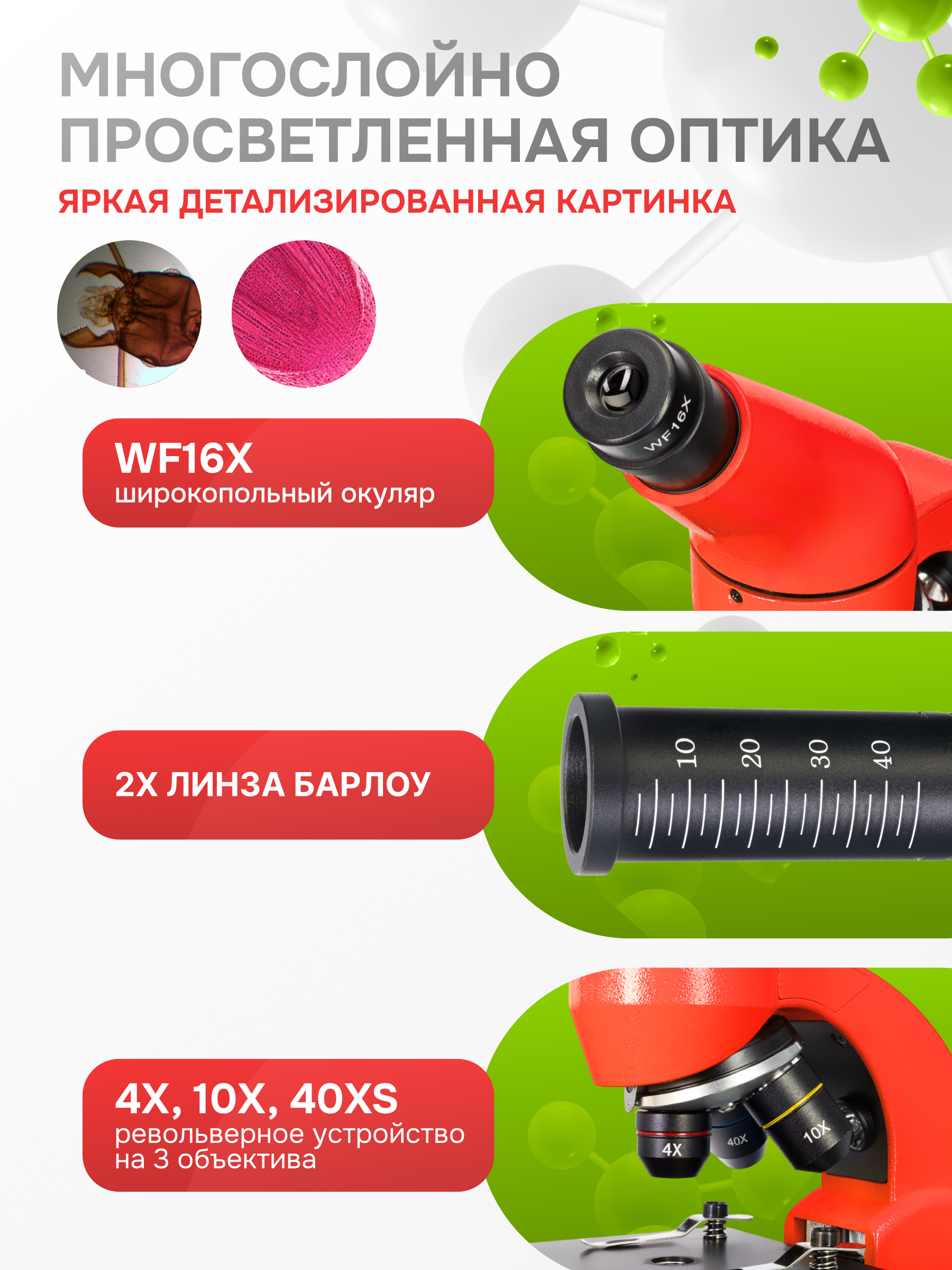 Микроскоп Levenhuk Rainbow 50L PLUS изображение