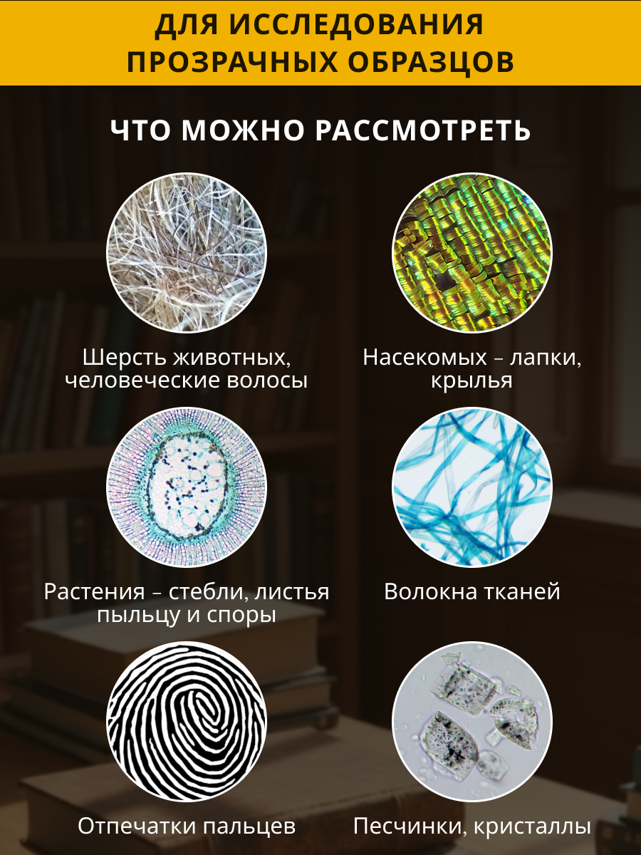Микроскоп Levenhuk Discovery Centi 01 с книгой картинка
