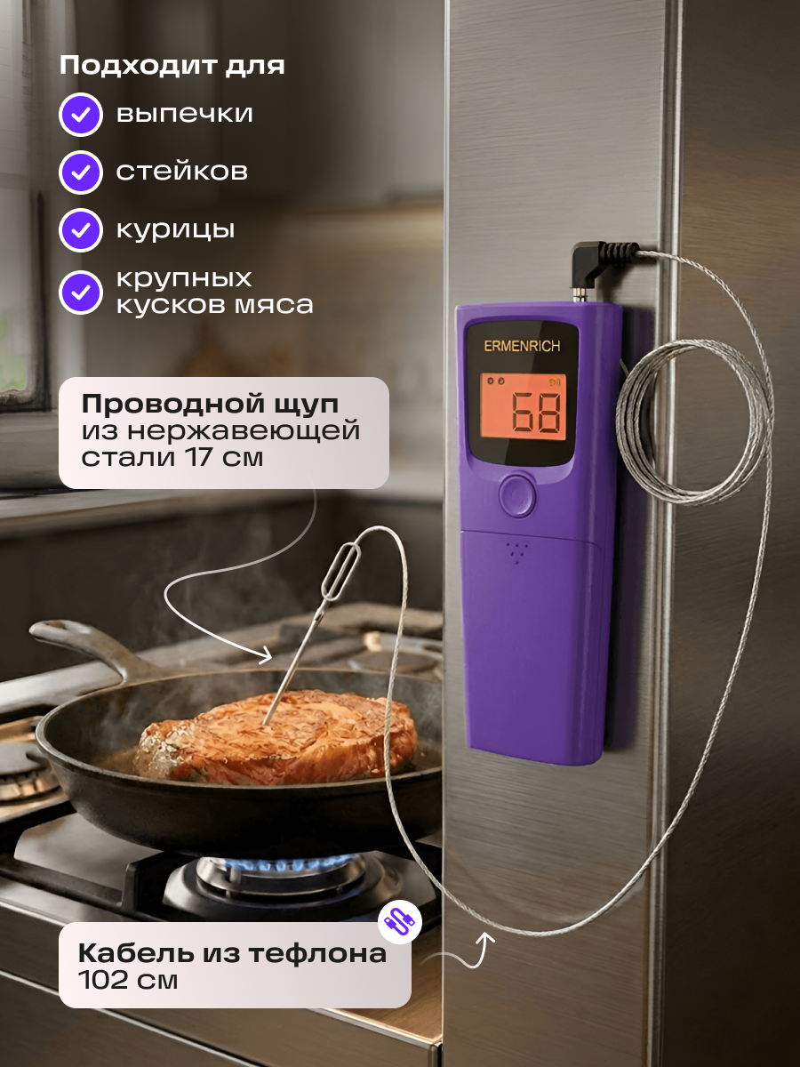 Термометр для мяса Ermenrich BBQ GT20 картинка