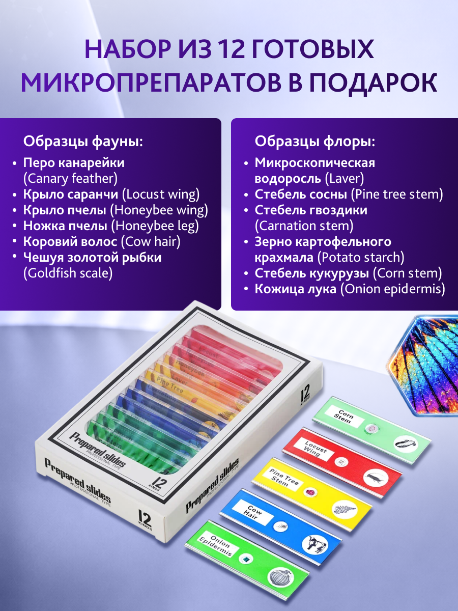 Микроскоп цифровой Levenhuk Rainbow DM500 LCD фото