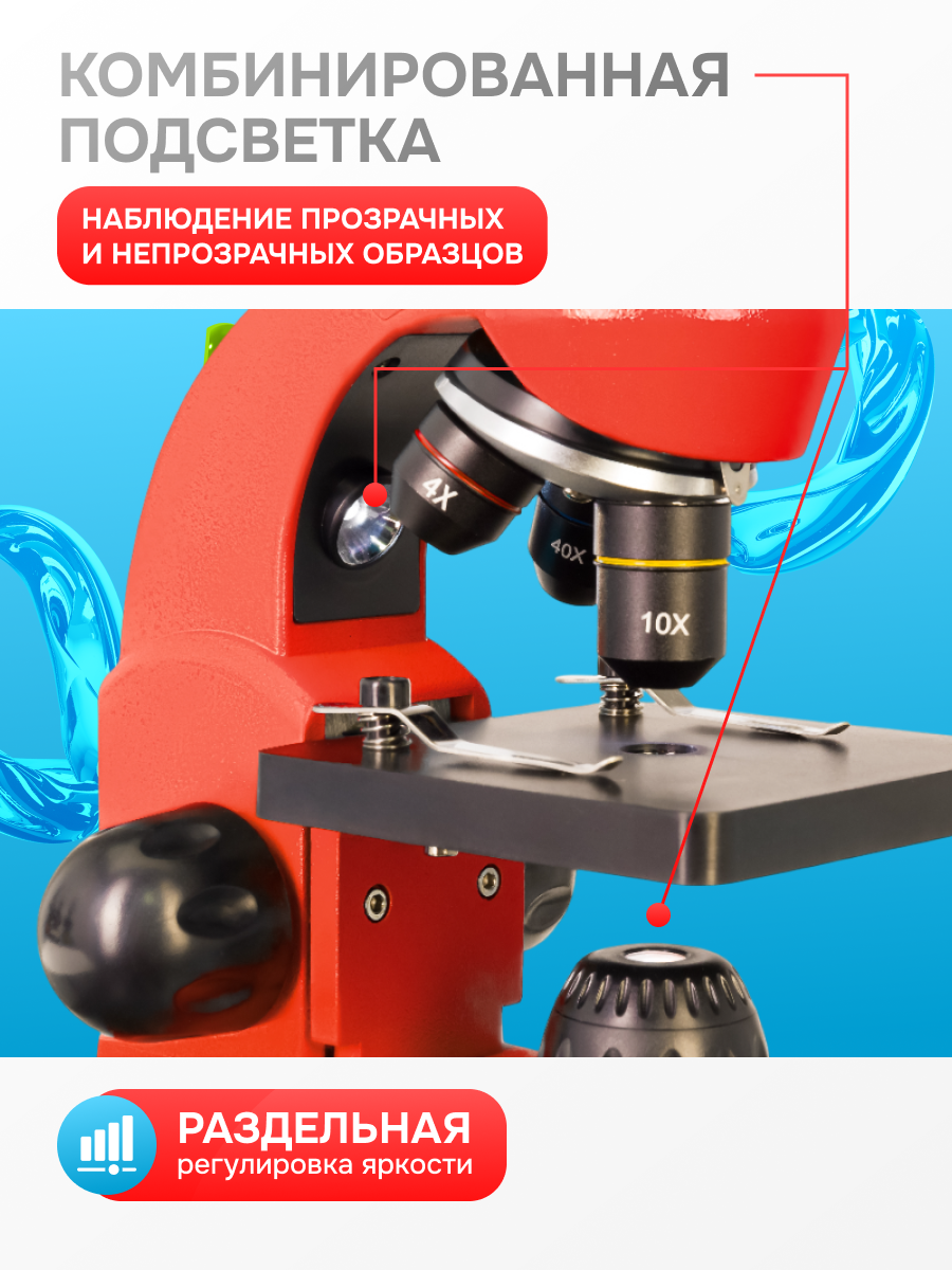 Микроскоп Levenhuk Rainbow 50L фото