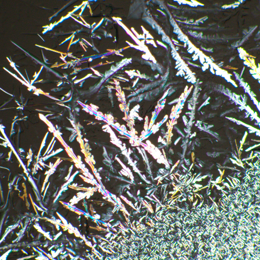 Устройство простой поляризации MAGUS SPD1 изображение