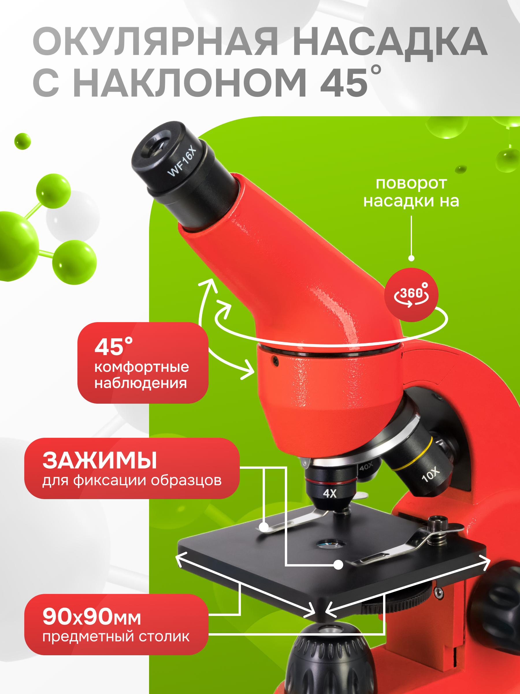 Микроскоп Levenhuk Rainbow 50L PLUS картинка