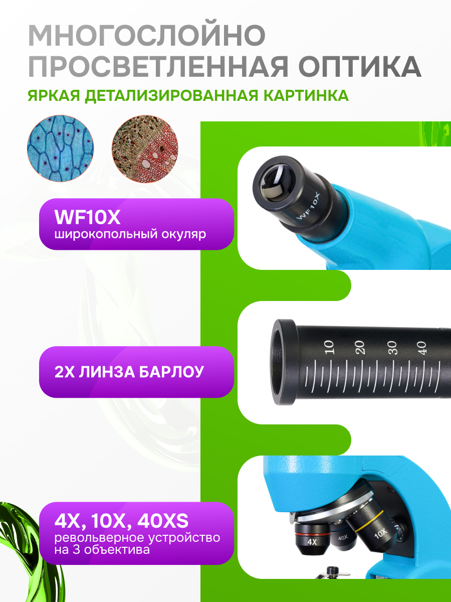 Микроскоп Levenhuk Rainbow 50L фото