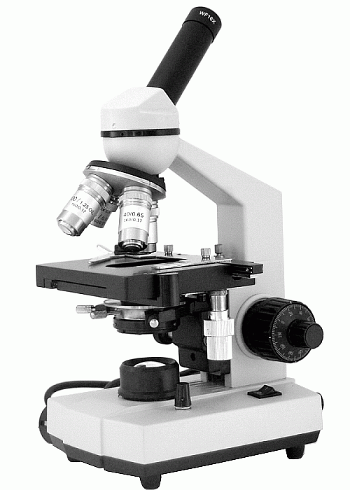 Биологический микроскоп Levenhuk (Левенгук) 334 - фото 1