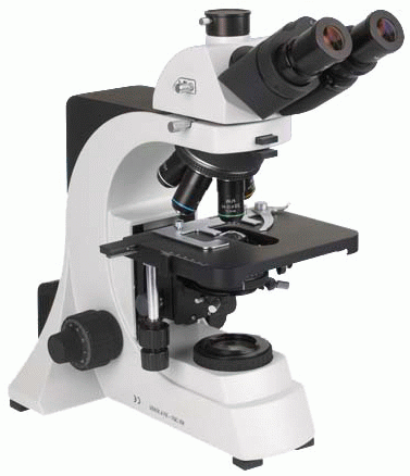 Биологический микроскоп Levenhuk (Левенгук)  BM67-4