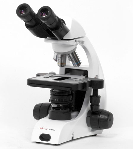 Микроскоп Micros МС 50 (XP ECO), бинокулярный 55895 - фото 1
