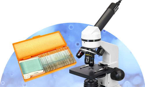 Подарок к цифровому микроскопу Levenhuk