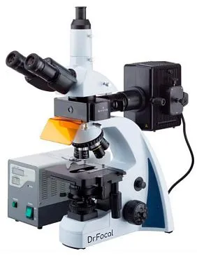 Микроскоп люминесцентный Dr.Focal SBM-1T FL