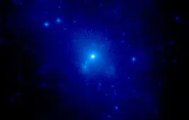 Звездное гало