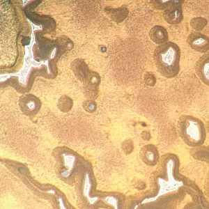 Микроскоп металлографический инвертированный MAGUS Metal V790 DIC, изображение 18