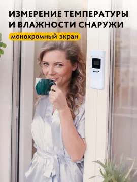 Термометр Levenhuk Wezzer BASE L50, изображение 13