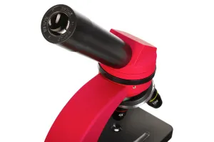 Микроскоп Levenhuk Discovery Nano Terra с книгой, изображение 10