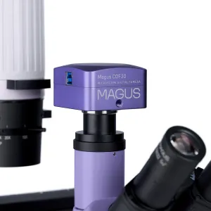 Микроскоп биологический инвертированный цифровой MAGUS Bio VD300, изображение 16