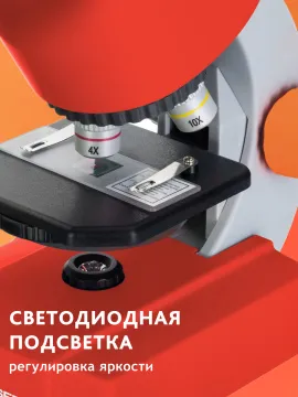 Микроскоп Bresser Junior 40–640x, изображение 18