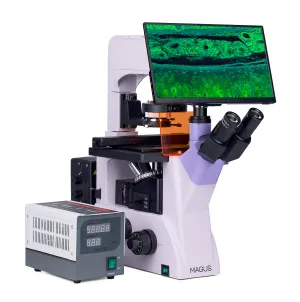Микроскоп люминесцентный инвертированный цифровой MAGUS Lum VD500 LCD, изображение 4