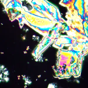 Микроскоп поляризационный MAGUS Pol 890, изображение 25