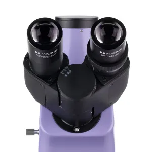 Микроскоп люминесцентный цифровой MAGUS Lum D400, изображение 11