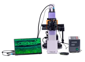 Микроскоп люминесцентный инвертированный цифровой MAGUS Lum VD500 LCD, изображение 6
