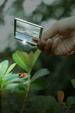 Линза Френеля Levenhuk Zeno 90, 2,5x, 48x45 мм, 1 LED, металл, изображение 10