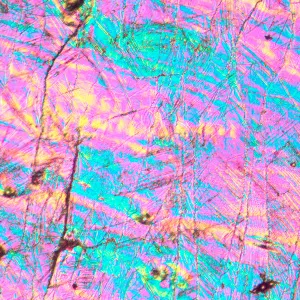 Микроскоп металлографический инвертированный MAGUS Metal V700 DIC, изображение 16