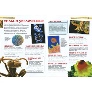 «Микромир. Детская энциклопедия», Роджерс К., изображение 3