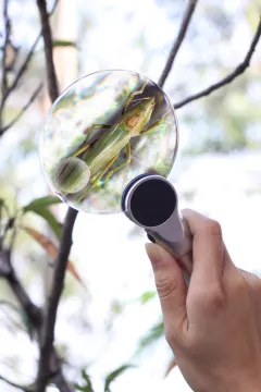 Лупа Levenhuk Zeno 400, 2/4x, 88/21 мм, 2 LED, металл, изображение 9