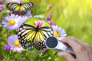 Лупа Levenhuk Zeno 400, 2/4x, 88/21 мм, 2 LED, металл, изображение 7