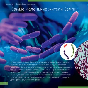 Книга знаний «Невидимый мир». Твердая обложка, изображение 5