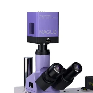 Микроскоп металлографический цифровой MAGUS Metal D630 BD, изображение 17