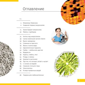 Микроскоп Levenhuk Discovery Nano Terra с книгой, изображение 6