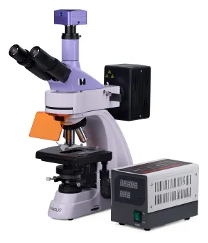 Микроскоп люминесцентный цифровой MAGUS Lum D400, изображение 3