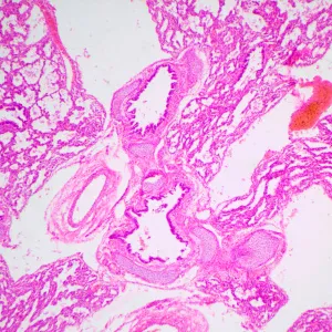 Микроскоп биологический MAGUS Bio 240T, изображение 23