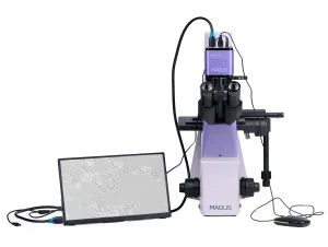 Микроскоп биологический инвертированный цифровой MAGUS Bio VD300 LCD, изображение 6