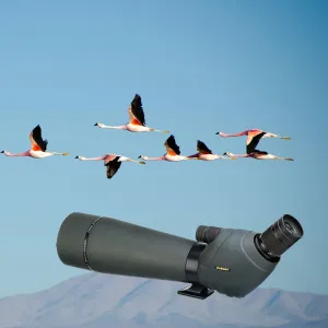 Зрительная труба SVBONY SV411 20–60x80 WP со штативом, изображение 14